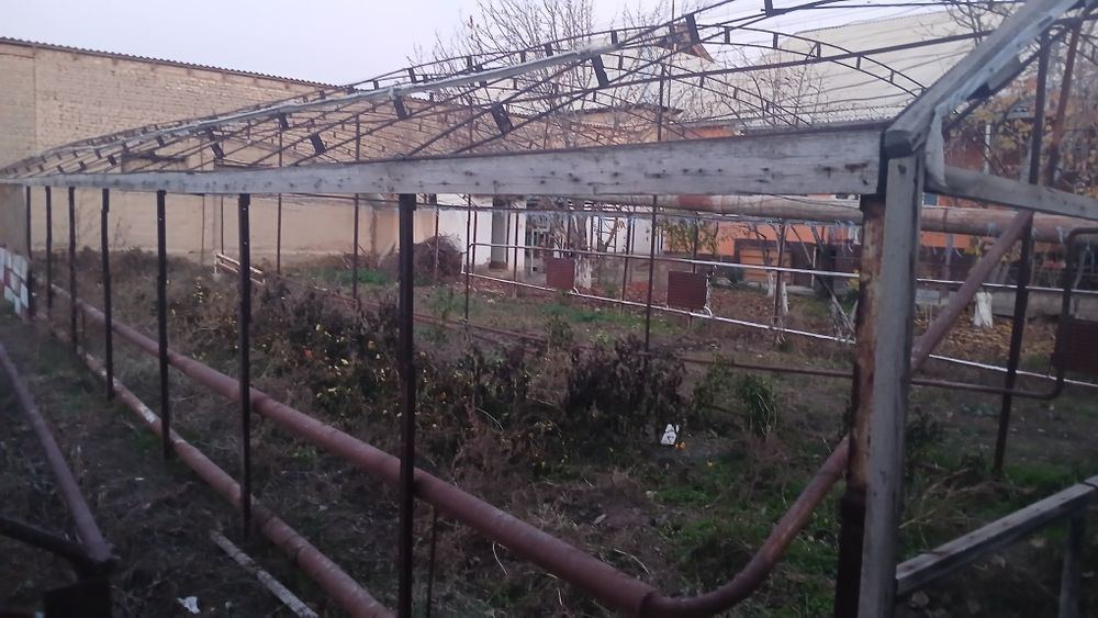 Issixona polizekinlari (sabzavotlar uchun) biznesmenlar uchun