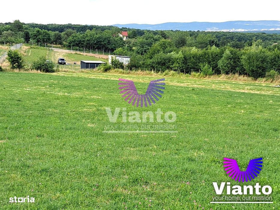 Oportunitate-Teren Extravilan 3100 mp cu vedere Panoramica-Tropinii No