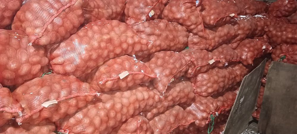 Картофель Гала.,