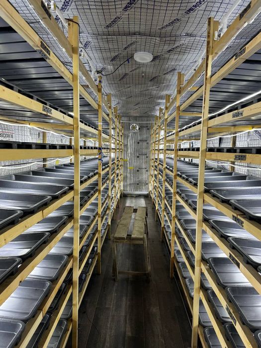Tayyor gidroponika va Witgrass biznesi sotiladi  12 metrlik konteyner