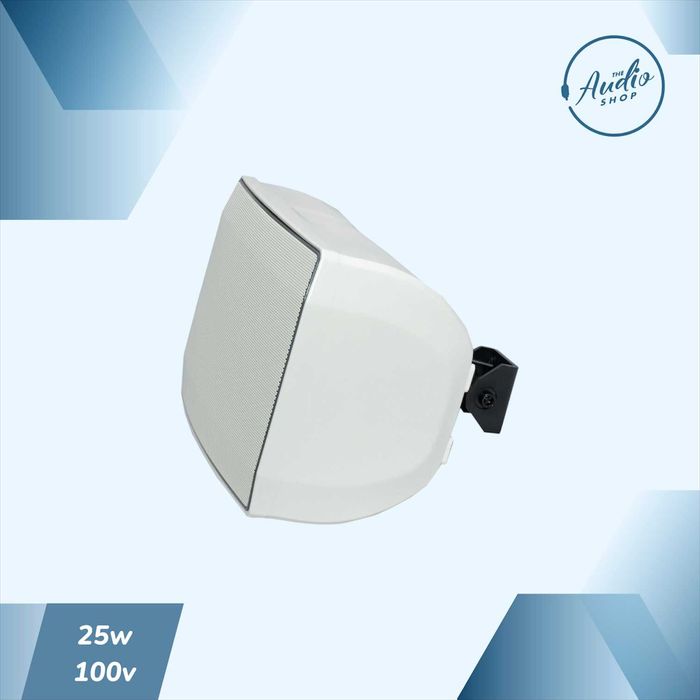 Пассивная настенная колонка для фоновой музыки 25wat