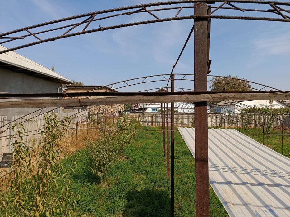 Теплица , Иссикхона