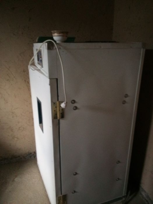 Инкубатор продоется