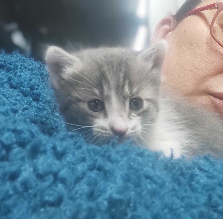 1-месечно момченце търси дом