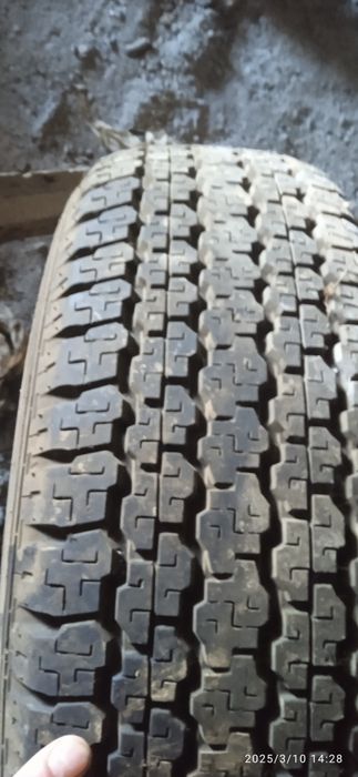 Продам шины 3шт новые