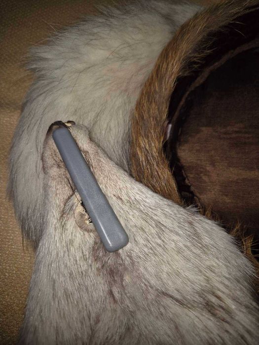 Кожена шапка и кожена яка - лисица