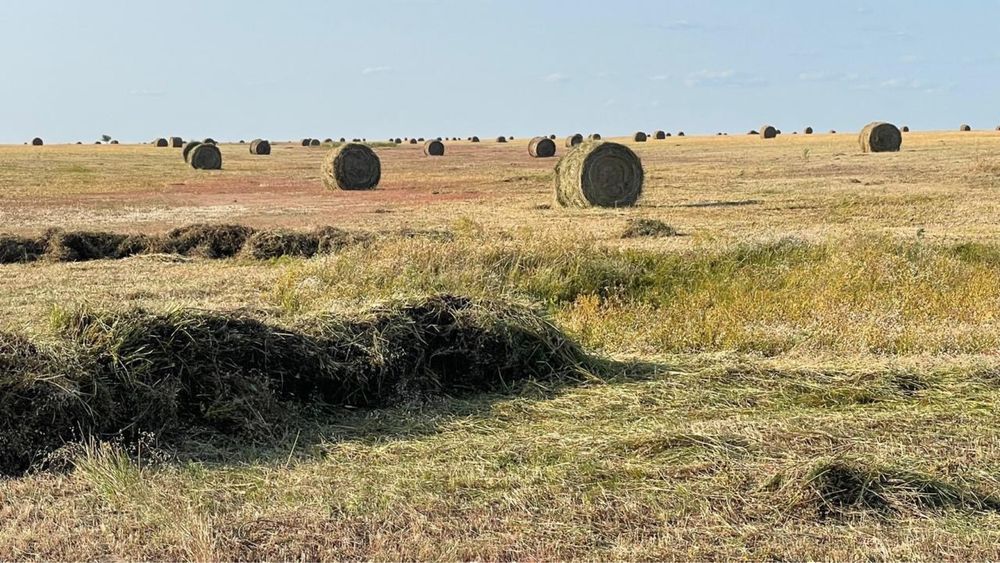 Шаруа қожалығы сатылады.