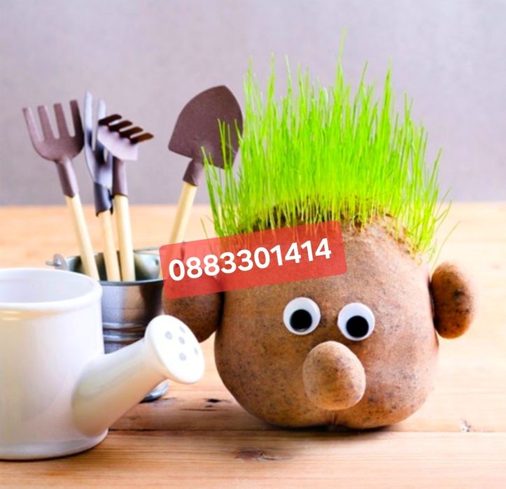 Чичко Тревичко с коса от трева