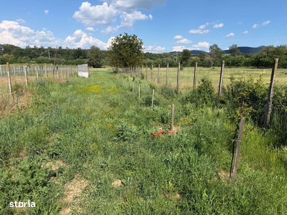 Teren intravilan, 2300mp - Vinerea ( Cugir )