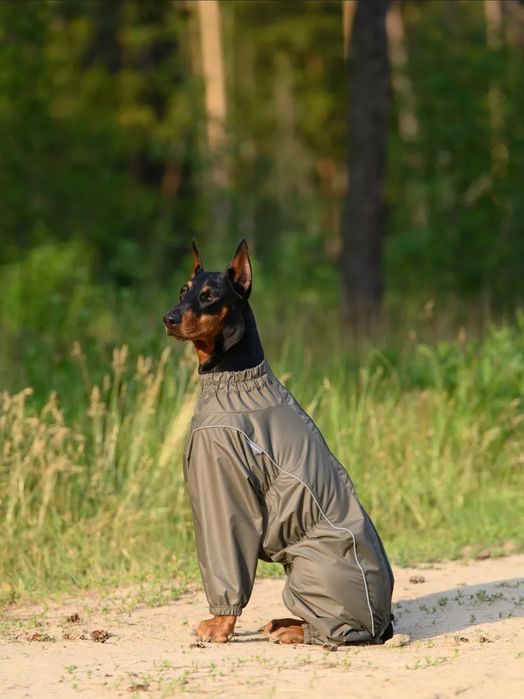 Дождевик для собак