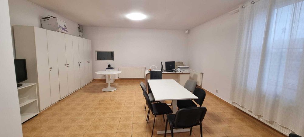 Inchiriere hala productie sau depozit - Vedere 5