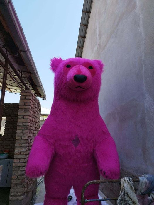 Ayiqlar teddi quyon sotiladi yangii