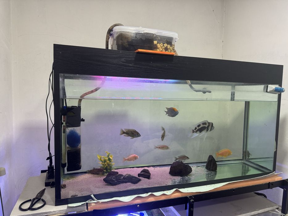 Аквариум 320литров