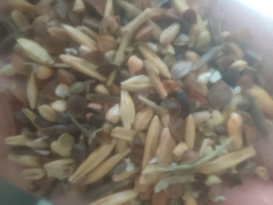 ОТХОДЫ Зерноотходы сечка Отруби корм