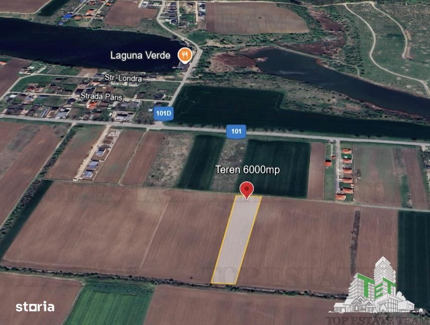 Teren pentru case 6000mp Moara Vlasiei