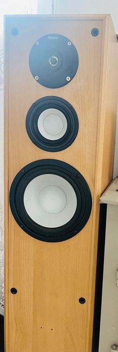 Vand urgent  boxe magnat 100w pret 300 neg