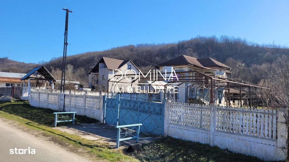 Vanzare casa D+P+1,  situata in comuna Capreni, sat Bulbuceni