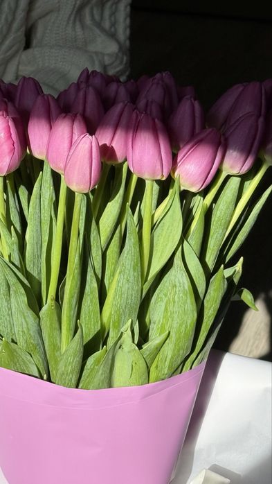 Тюльпаны высококачественные