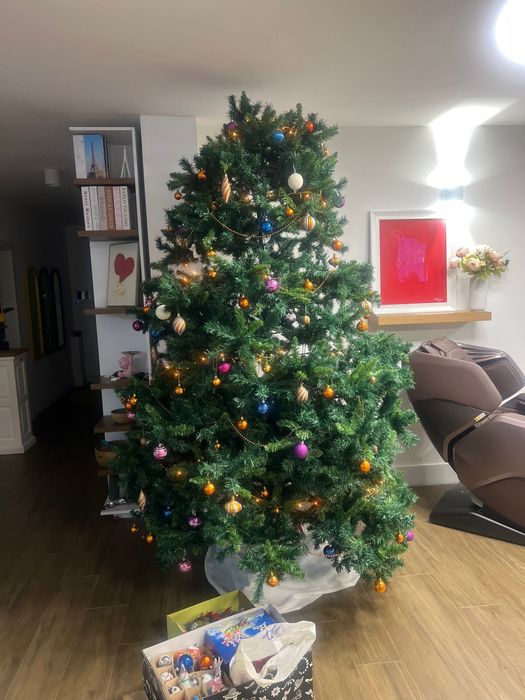 Brad de Craciun artificial 250 cm