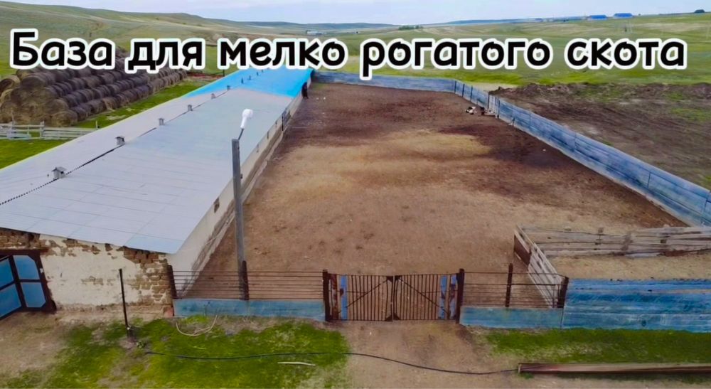 Продам Крестянское Хозяйство