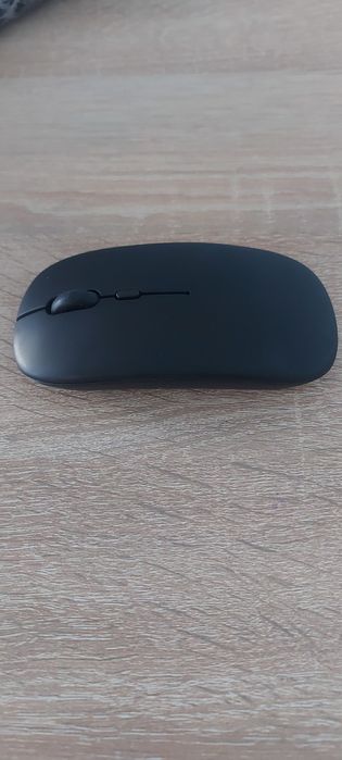 Sichqoncha va karikatura