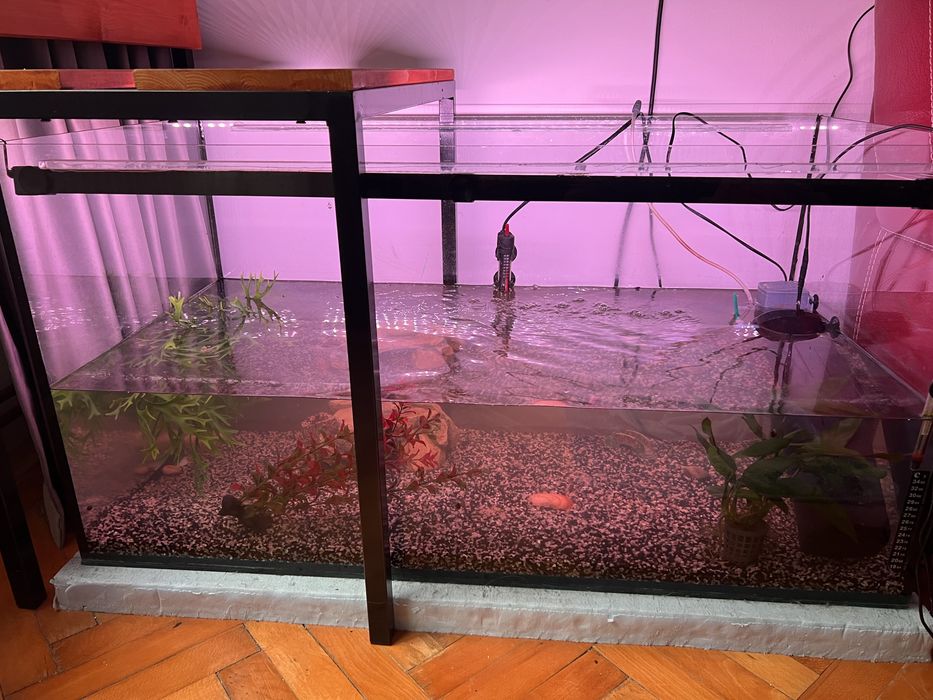 Vând acvariu complet utilat Garra Rufa