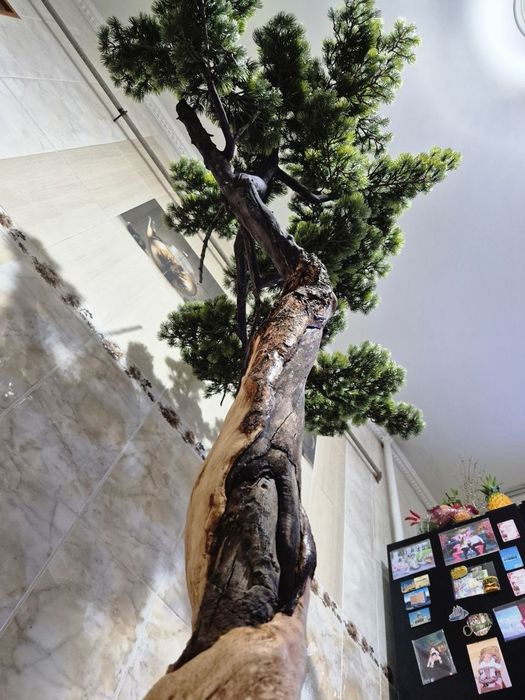 Бонсай ручная работа