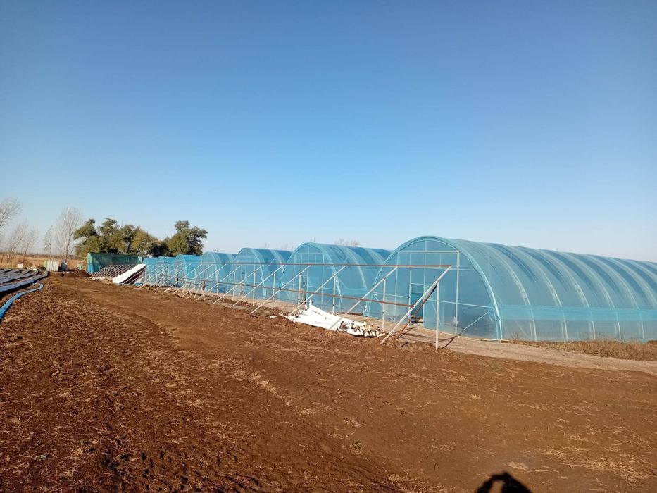 Теплицы всех видов и размеров