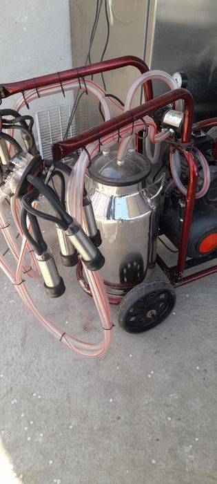 Sut sogish apartlari 1 qol sklatan va siz istalgan turda