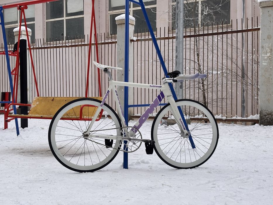 Фикс lowii обслуженный