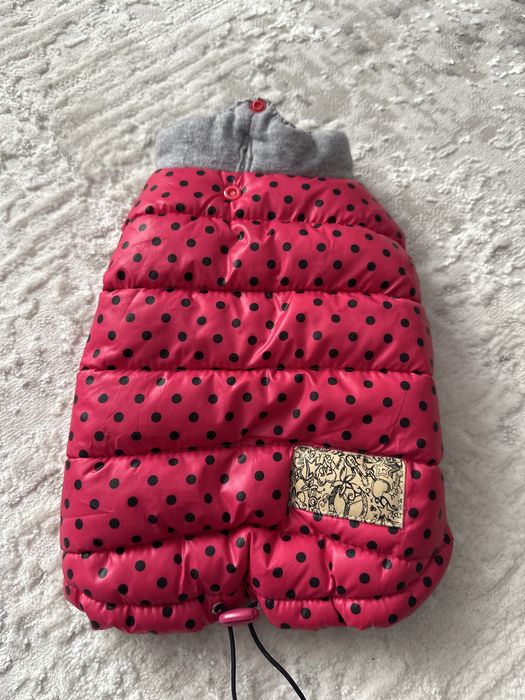 Жилет доя собак