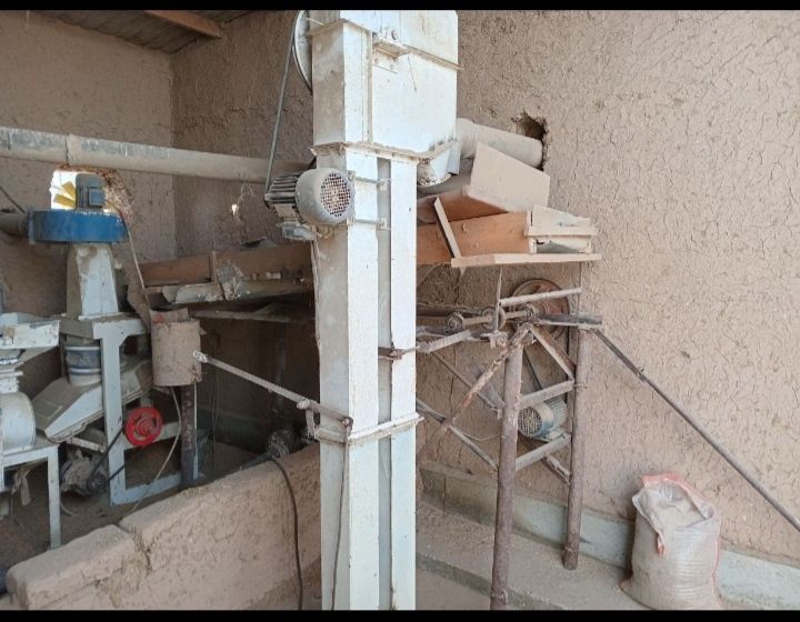 Шоли тегирмон гуру чикаради