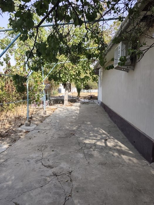 Дача! Таш.обл Горы  (Красногорск)