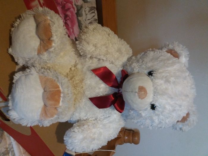 Animale plus diverse