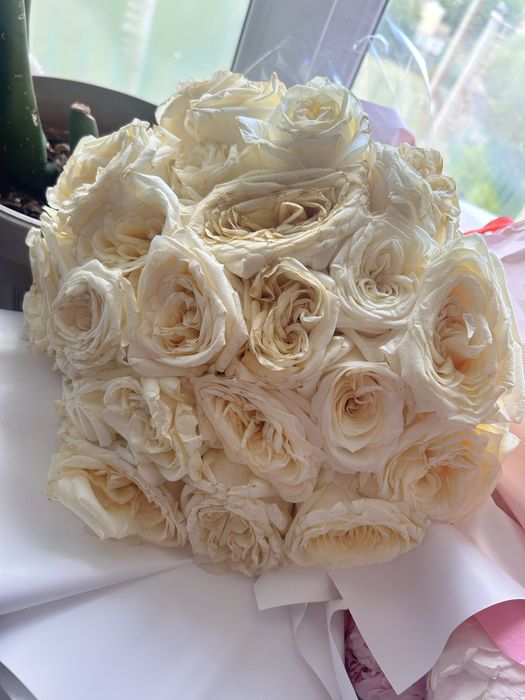 Беллые розы 25 шт