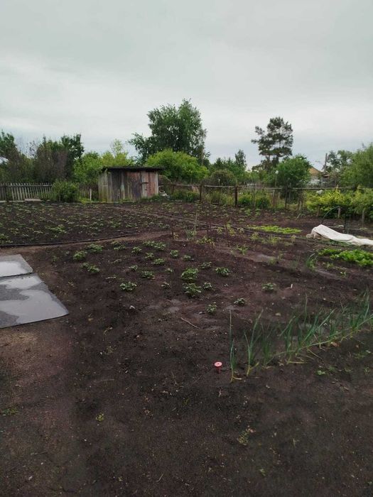 Продам дачу д/с Дружба
