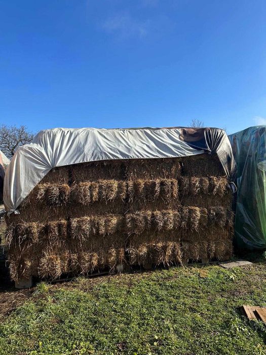 Vând baloți de iarbă și lucernă 20-30 lei