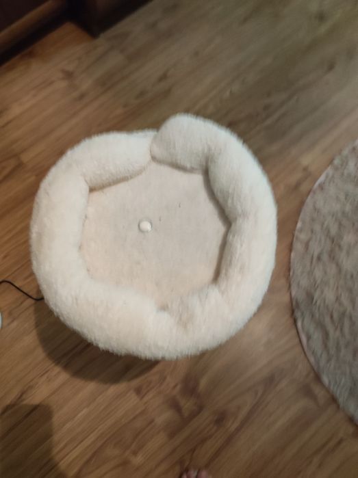 когтеточка бежевая