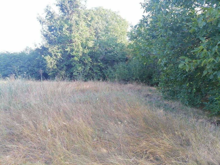 Почистване на изоставени и запустели имоти