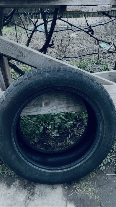 Amvelope iarna /vara Riken