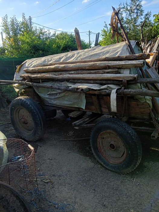 Corită lemn masiv