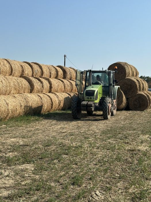 Baloti rotunzi si mici an 2025! Schimb cu berbecuți!