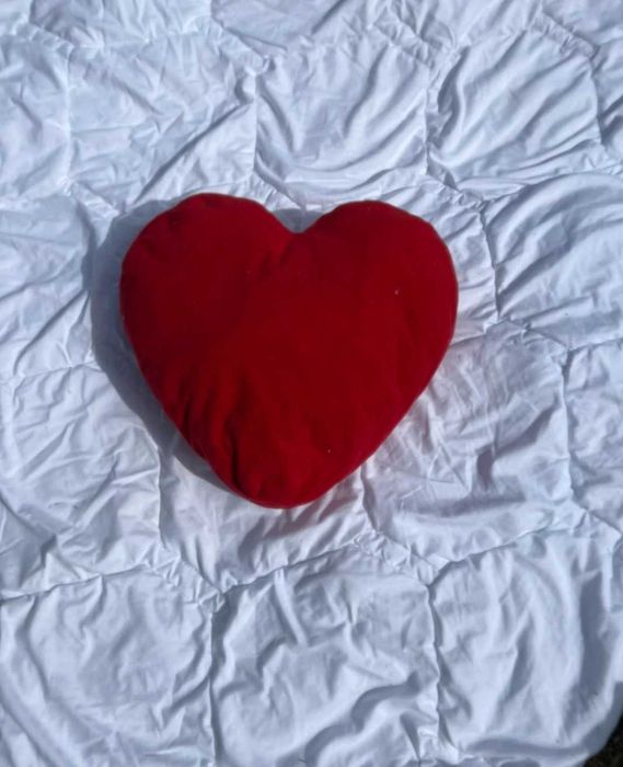 Pilota+ 2 perne+ o perna decorativa gratuit (oferta specială)