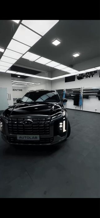 Hyundai Palisade calligraphy