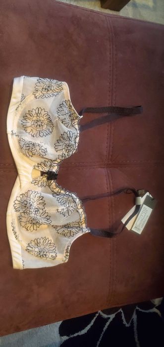 Tommy Hilfiger,Victoria's Secret,Puma