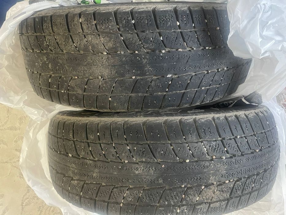 Шины зимный TRAENGLE 15/65/185