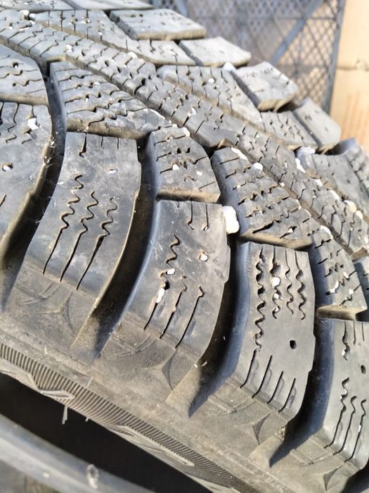 Продам шины      .