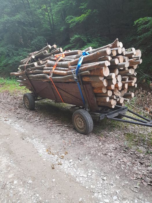 Caruta de vinzare 500€