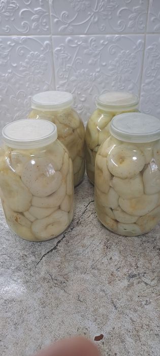 Продам грибы грузди