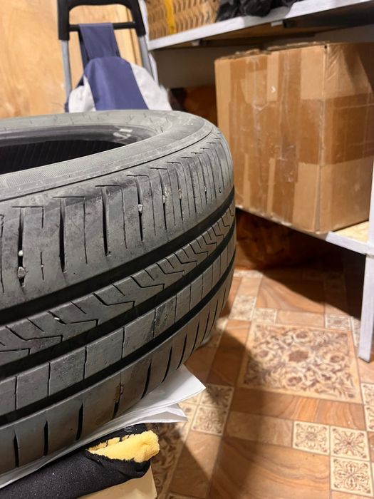 Летние шины торг есть